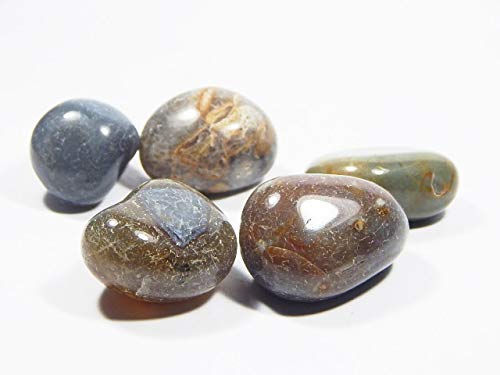 Pierre de sang héliotrope naturelle cabochon 75,2 Ct pour bijoux artisanaux - 4