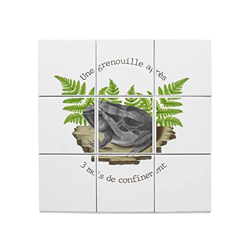 Carreaux céramique décoratif de 15,2 cm lot de 9 avec illustration grenouille pour fresque murale