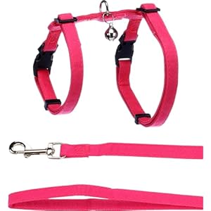 Flamingo Harnais avec Laisse pour Chat Lomi Fuchsia – Taille A:22-36cm B:27-46cm C:110cm x 10 x 2mm – Confortable, Réglable et Élégant, Idéal pour Maine Coon, Bengal, Siamois & Ragdoll