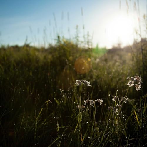 Vwtwiumcba Reader's Digital Perspective cover art