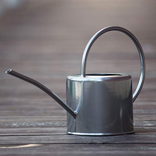 HORTICAN Classic Galvanized Watering Can Small Water Can for Outdoor and Indoor House Plants (0.5 gal/Silver)