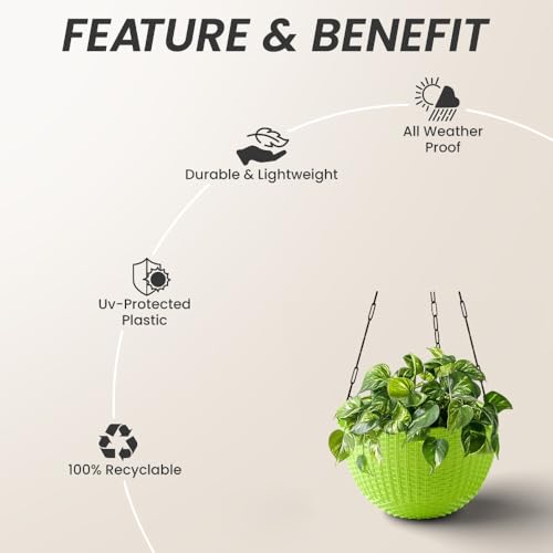 Image of YUCCABE ITALIA SHERA URO-Basket Plastic Flower Pot with Drainage Holes Round Planter Pot Suitable for Inddor Outdoor Kitchen (Green, 6 INCH - 6 Pcs)