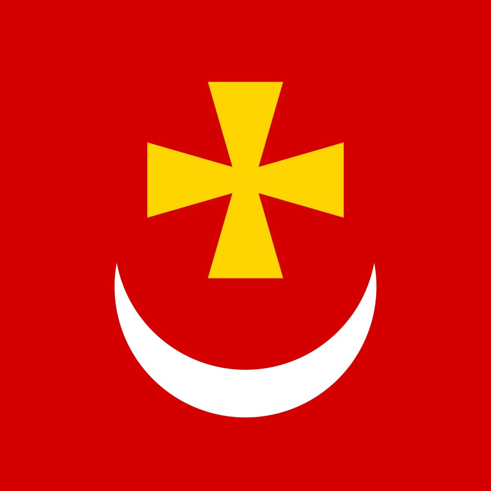 Drapeau large Borzna Ukraine anti-décoloration pour mât extérieur Chernihiv