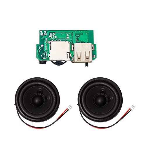 Electronic Spices Combo of Wireless Hi-fi Boombox Circuit Module With Double 2 Inch 4ω (Ohm) 10w Power Audio Woofer Speaker 108