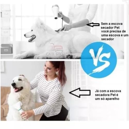 Secador Pet 110V 2 em 1 Silencioso Portátil Leve Soprador Cachorro Cão Gato Coelho Profissional Banh