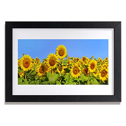 Affiche encadrée en MDF de qualité photo tournesol Tulup 30x20 cm
