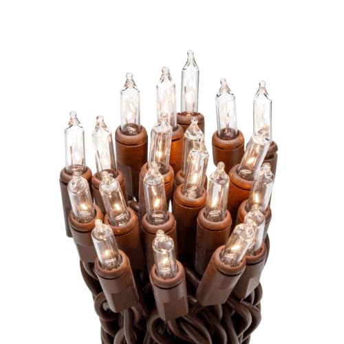 612 Vermont 20 Clear Mini Christmas String Lights on Brown Wire Cord