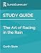 Study Guide: The Art of Racing in the Rain by Garth Stein (SuperSummary)