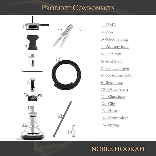 NOBLE HOOKAH Shisha Set Klein Shisha Mini Shisha to go mit Hochwertigem Zubehör - mundgeblasene Flasche 1 Schlauch