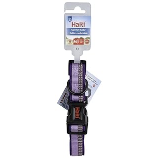 Collare Comfort HALTI - Cinghia regolabile con imbottitura in neoprene e tessuto 3M catarifrangente. Nylon di qualità. Leggero e ideale per cani di taglia media (Taglia M, Viola)