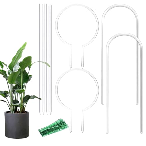 ANgX - U^ AN p Ax - NA P[W z_[ ϗtA x Rt sT|[g ACr[   p