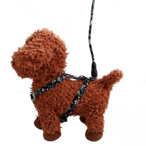 Totority Lpn[lX yʃRbXgbv \ w ɂ ybgpi OUp ubN