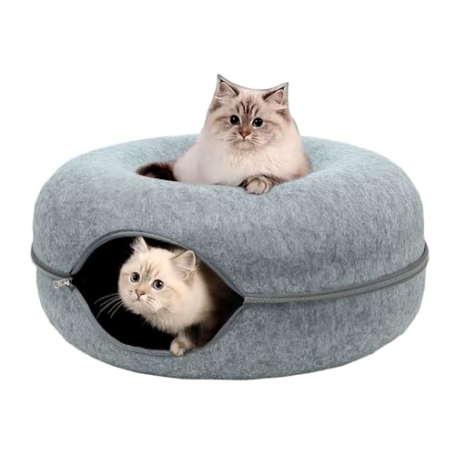 NegosuLxbhh[icL̓AO\Lxbh^plGΉ~gLxbhtFgh[icLglL^C (50*50*20cm,O[)