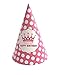 LoaferUp 25 pcs Birthday Party Hat (Includes 5 Different Patterns)