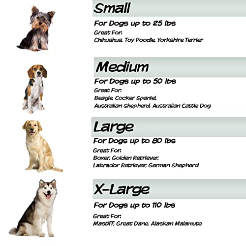 Elevated Dog Bed – 24.5X18.5 Portable Bed For Pets With Non-Slip Feet – Indoor/Outdoor Dog Cot Or Puppy Bed For Pets Up To 25Lbs By Petmaker (Blue) #TOP4