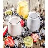 Turkish Kefir Starter Dehydrated & Powdered Milk Kefir Active Probiotic Cultures Starter - No Maintenance - Powder (6 Pack)