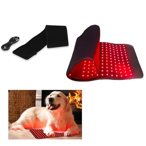 WFUAHA Cinturón De Terapia De Luz Roja, Almohadilla De Terapia De Luz Roja LED De 360 ​​PC para Mascotas, Tiempo De Terapia De Luz Roja Infrarroja por Tiempo Portátil, Terapia De Luz Roja Infrarroja