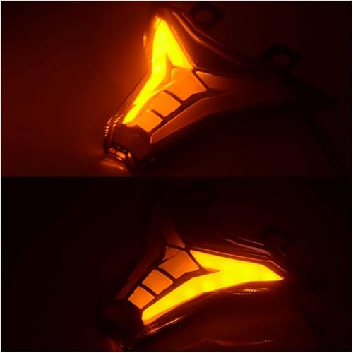 Luz trasera para motocicleta Kawasaki Ninja ZX-10R ZX1002 freno 5