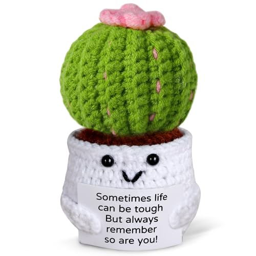 FunFanso Crochet Cactus Pots with Card, Positive...
