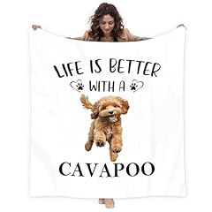 Better Cavapoo