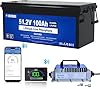 DC HOUSE 48V 100Ah Lithium Golf Cart Battery with 48V 18A Lifepo4 Battery Charger, 200A BMS, Bluetooth & Low-Temp Protection, Peak Current 700A, LCD Monitor & Mobile APP