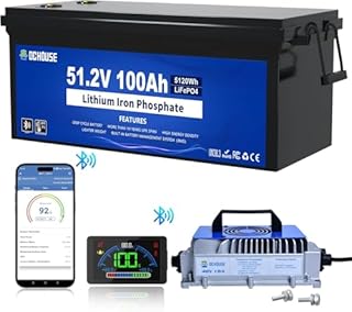 DC HOUSE 48V 100Ah Lithium Golf Cart Battery with 48V 18A Lifepo4 Battery Charger, 200A BMS, Bluetooth & Low-Temp Protection, Peak Current 700A, LCD Monitor & Mobile APP