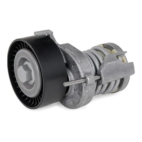 INA 534 0123 20 Spannarm Keilrippenriemen Kompatibel mit VW Golf IV Schrägheck 1J1