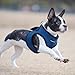 PUPPIA International Puppia Harness Soft B Vest Royal Blue Large