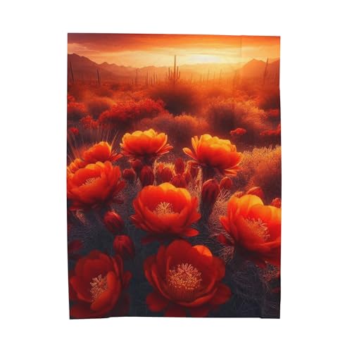 The Fiery Red Flowers in Arizona’s Desert Spring Bloom –