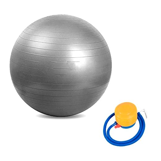 Bola Pilates Yoga Fitness 75 cm C/Bomba Abdominal Ginastica Cinza