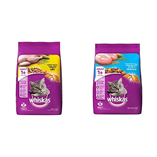 Whiskas Adult (+1 Year) Dry Cat Food, Chicken Flavour, 1.2kg Pack & Adult (+1 Year) Dry Cat Food, Ocean Fish Flavour, 480g Pack