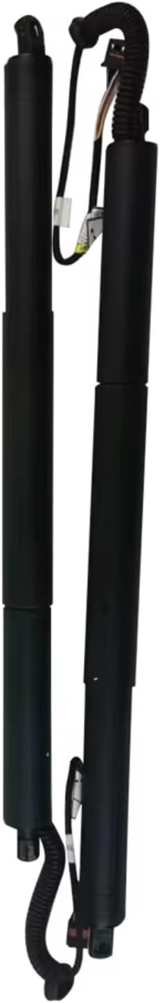 箔座日本橋 漆器 ドットラウンドボウル 28cm 器・ドットシリーズ