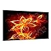 Produktbild Visario Bild auf Leinwand Firefly 80 x 60 cm Modell-Nr. 4147