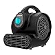 Cecotec Bodenbläser -Trocknungsventilator Blowindustry 2000 Flowfloor. 200 W, 1400 U/min, 3 Geschwindigkeiten, Luftstrom 1150 m³/h, Intuitive Steuerung, Mehrfachpositionierung, Gleichmäßige Verteilung