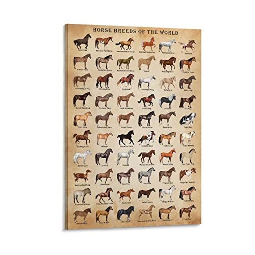 XNLKSI Horse Knowledge Poster encadré Races de chevaux du monde 30,5 x 40,6 cm