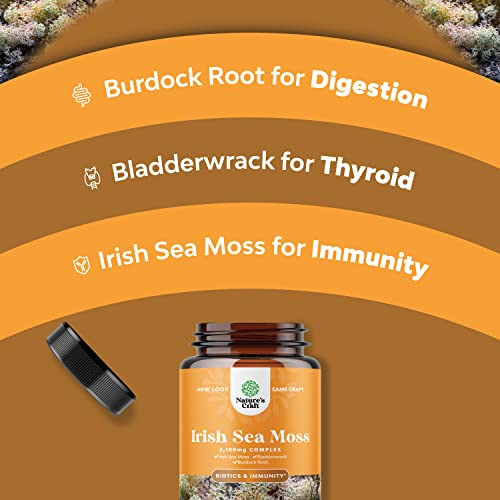 Bundle Of Herbal Thyroid Support For Weight Loss And Organic Irish Sea Moss Capsules - Advanced Metabolism Booster Energy - With Burdock Root Superfood Blend For Immune Support #TOP6