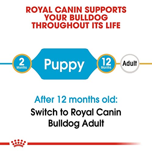 Royal Canin Bulldog Junior 3 kg, 1er Pack (1 x 3 kg)