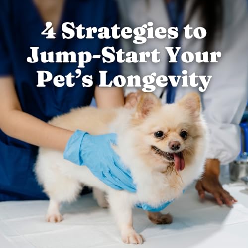 Four Strategies to Jumpstart Your Pet&rsquo;s Longevity for Dogs, Cats, Pet Parents