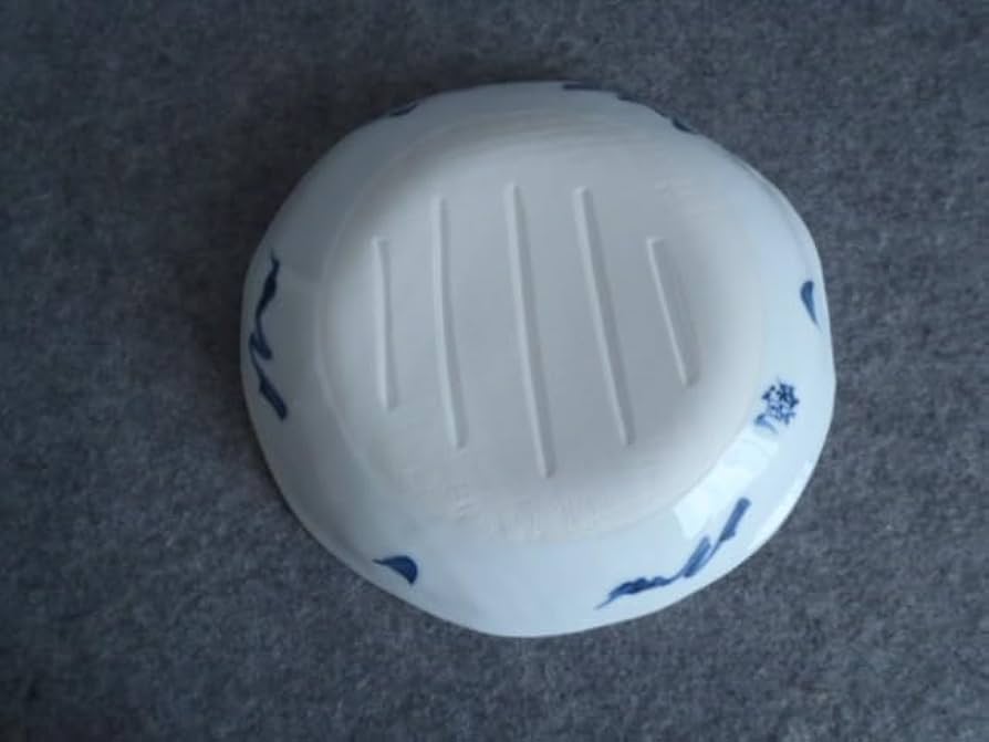 心和庵　中里博彦さん　唐草　お皿 心和庵 中里博彦さん 7寸リムプレート 色絵 蛸唐草 作家 食器