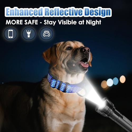 Image of Martingale Dog Collar, Reflective No Pull with Buckle, Blue, S | Escape Proof without choking ,Training Collar with Quick Release Buckle, Adjustable Heavy Duty Nylon collars for S M L Dogs