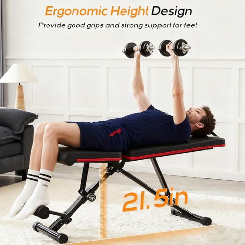 Aidoly Adjustable Weight Bench for Home Gym, Foldable Workout Equipment for Full Body Strength Training, Incline Decline Sit-Up Bench, 795LBS Capacity for Chest, Shoulders, Arms