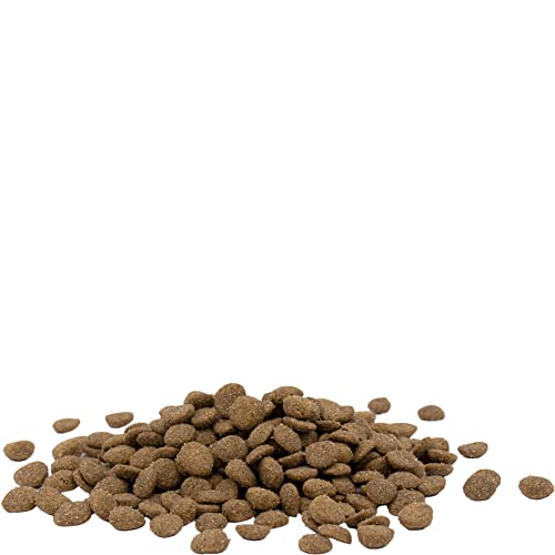Image of Opti Life Adult Cat Sterilised /Light - 2.5kg | Complete Dry Food for Sterilised Cats | Helps Maintain Healthy Weight & Digestion | Low-Fat Formula with Balanced Nutrition