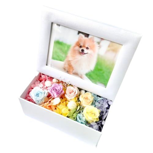 Lulu's Y ̋ tHgBOX F[Y ʐ^ĕt vU[uht[ ybg{  F t[ tHgt[ ʐ^ ybg  TCY:16cm×12cm×18cm ̋tHgBOX Lulu's-0