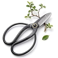 Scharfe Bonsai Schere aus Stahl - Traditionelles Bonsai Werkzeug für eine professionelle Bonsai-Zucht - ideal für Knospen, Blätter & Äste
