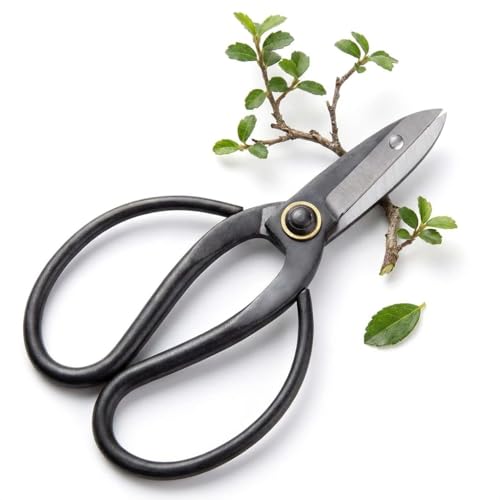 Scharfe Bonsai Schere aus Stahl - Traditionelles Bonsai Werkzeug für eine professionelle Bonsai-Zucht - ideal für Knospen Blätter & Äste
