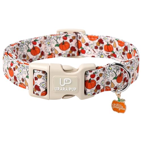 Image of Fall Dog Collar - Halloween Dog Collars-Adjustable Pumpkin & Daisy Floral Collar with Quick Release, Autumn Harvest Dogs Collars