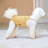 Hundewindeln Wiederverwendbar für Hündinnen – Waschbare Damenbinden Höschen – Anti-Rüden Schutzhose & Sicherheitshöschen für Hündinnen – Verstellbare Öko-Windelhose (M)