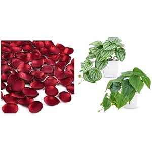 Der Rose Bundle of 300pcs Artificial Flowers and 2 Pack Artificial Plants for Home Bedroom Farmhouse Decor
