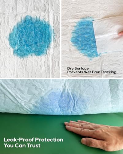 Honey Care All-Absorb, Small 17.5" x 23.5", 120 Count, Dog and Puppy Training Pads, Ultra Absorbent and Odor Eliminating, Leak-Proof 5-Layer Potty Training Pads with Quick-Dry Surface, Blue, A05