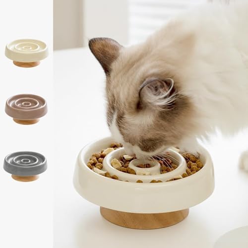 Diggly早食い防止 食器 最後まで食べやすい 猫 小型犬 陶器 洗いやすい 安定 木台あり (ベージュ)